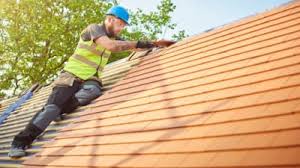 Professional Roofing Contractor in Fruita, CO